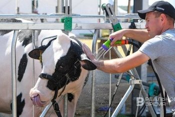 Выплаты пострадавшим от пастереллеза получили 228 семей