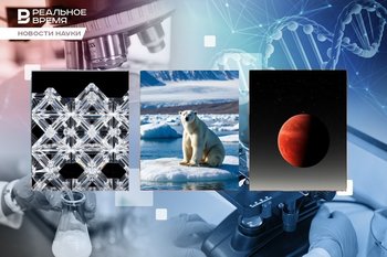 Кристалл времени, новая потенциально обитаемая планета, потолстевшие белые медведи