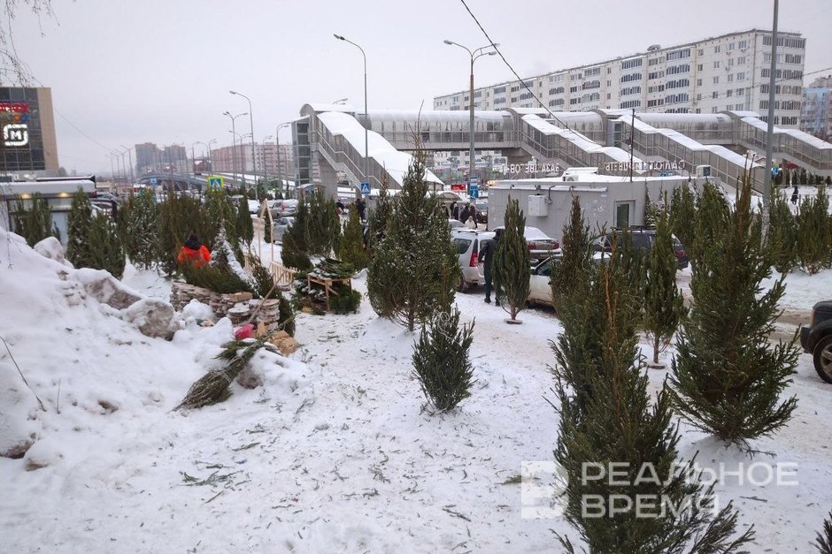 В Казани на переработку сдали более 2,5 тыс. новогодних деревьев