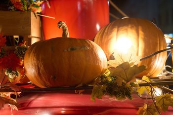 Спрос на декоративные сорта тыквы в России вырос на 70%