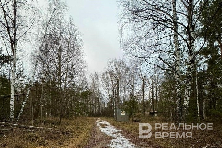 В Татарстане сняты ограничения на посещение лесов и въезд транспорта