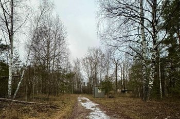 В Татарстане сняты ограничения на посещение лесов и въезд транспорта