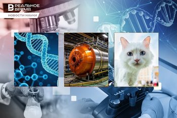 Редактирование генома человека, превращение свинца в золото, вакцина для любителей кошек