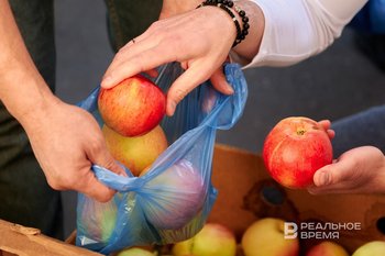 13 сентября в Казани откроются сельхозярмарки