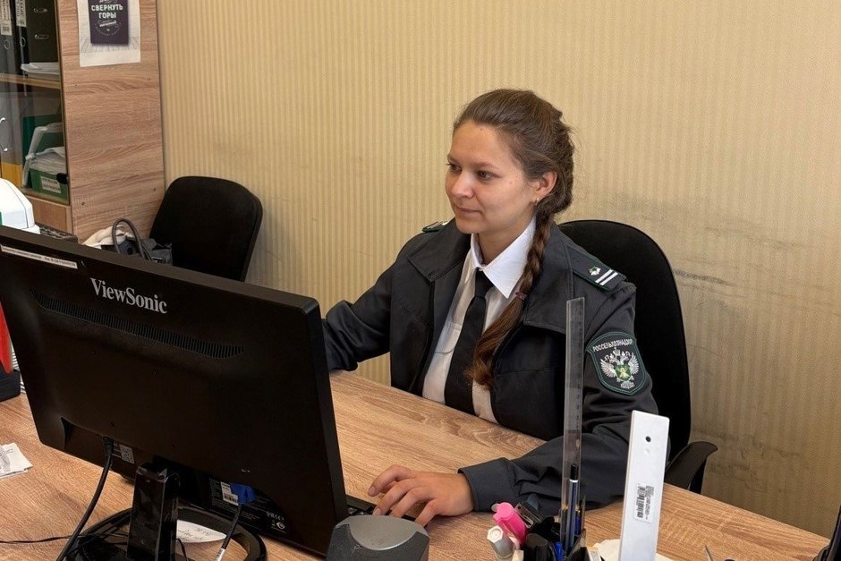 В Татарстане выявили 67 нарушений при оформлении ветеринарных документов