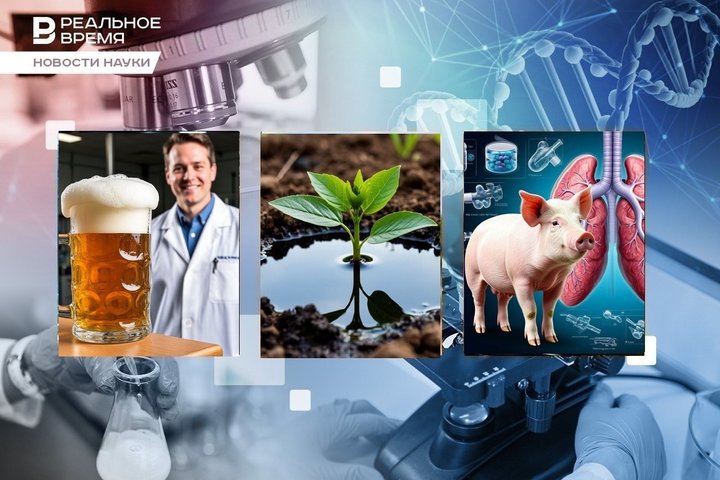 Растения очищают почву, человеку пересадили легкое свиньи, физики исследовали пивную пену