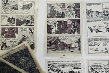 В Индии сгорел склад издательства Amar Chitra Katha, уничтоживший десятилетия истории комиксов
