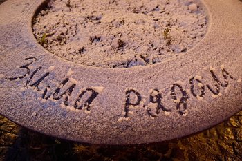 Сегодня в Татарстане ожидается до -9 градусов