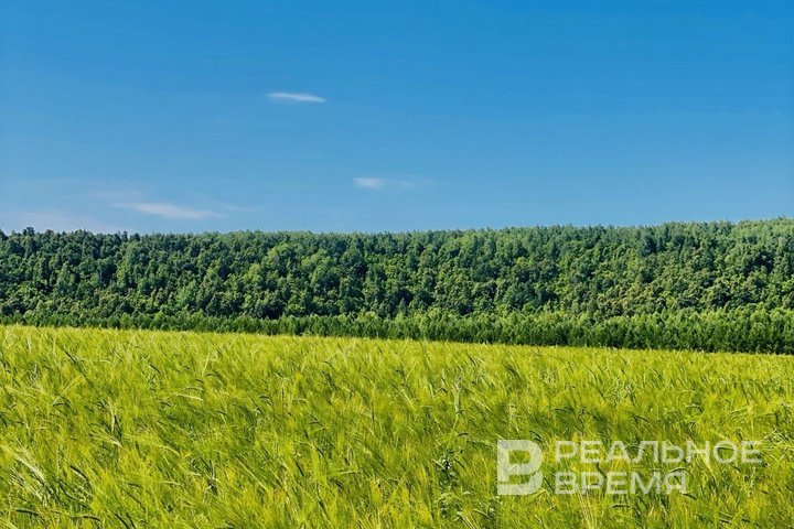 На 1-й этап строительства оросительной системы в Чистопольском районе потратят 435 млн рублей