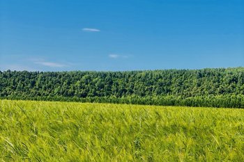 На 1-й этап строительства оросительной системы в Чистопольском районе потратят 435 млн рублей