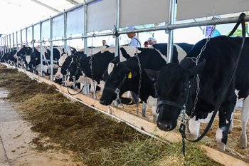 В Атнинском районе Татарстана началось строительство животноводческих комплексов на 5,1 млрд рублей