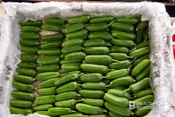 В России цены на огурцы продолжают расти, но уже медленнее