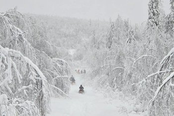 Следком возбудил дело по факту исчезновения туристов в Пермском крае