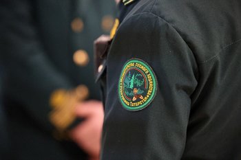 Зарипов: зарплата работников лесного хозяйства Татарстана вырастет на 10%