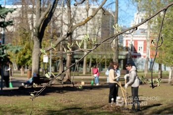 Татарстан вошел в топ-10 регионов России по экосбору