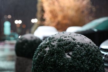 Перед Новым годом в Татарстане воздух прогреется до +2 градусов