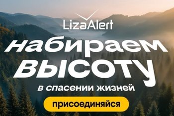 Билайн и «Группа Лента» запустили социальный видеоролик в поддержку «ЛизаАлерт» на экранах в магазинах