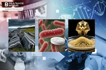 Проклятие фараонов против лейкемии, самые древние скалы, кишечная палочка в помощь «зеленым»