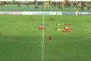 Футбольный матч в Африке остановили из-за нашествия пчел