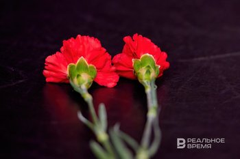 Минтранс выразил соболезнования в связи с кончиной экс-министра Старовойта