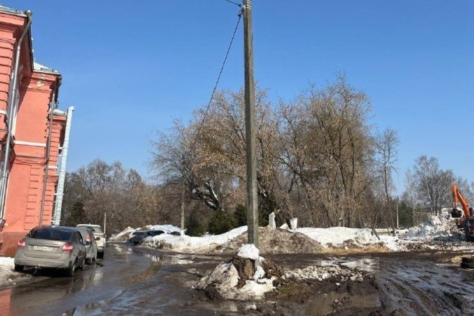 Начали вырубать вековые деревья на территории бывшего Казанского ветинститута