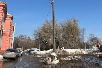 Начали вырубать вековые деревья на территории бывшего Казанского ветинститута