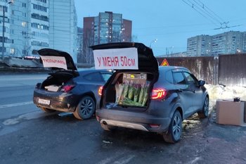 Госавтоинспекция Казани оштрафовала более 20 нелегальных торговцев цветами