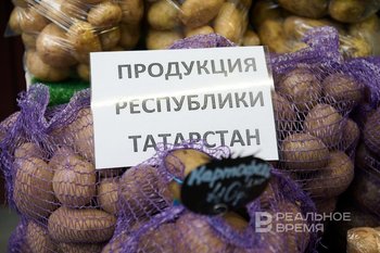 Агрохолдинг «Чистополье» в этом году откроет первую очередь завода по переработке картофеля