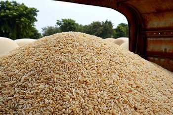 Россия готова увеличить поставки зерна и халяльной продукции в Саудовскую Аравию