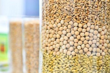 Россия резко снизила экспортную пошлину на пшеницу в 26 раз