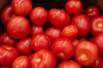 В Казани в субботу пройдут традиционные сельскохозяйственные ярмарки