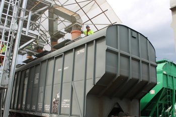 Татарстан отгрузил Китаю 1,6 тыс. тонн льна