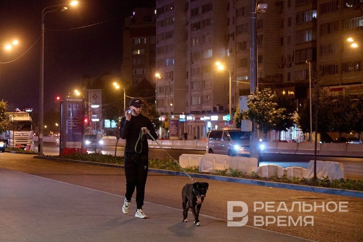 Жители Татарстана удвоили покупки б/у игрушек для собак