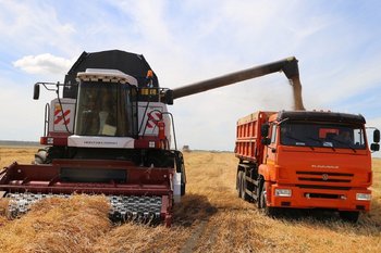 Нижнекамские аграрии обмолотили 83% площадей, урожайность составила 40 ц/га