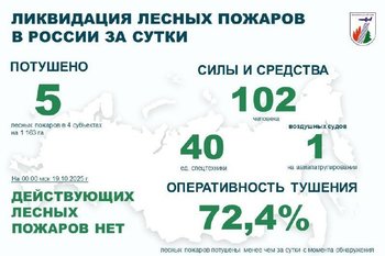 В России за сутки потушили пять лесных пожаров
