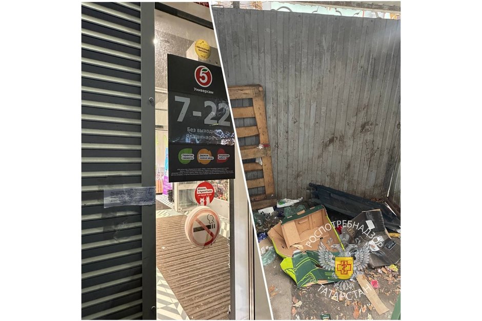 Магазин «Пятерочка» в Казани закрыли на 20 суток из-за нашествия грызунов