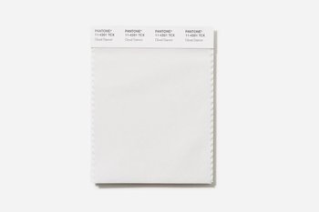 Pantone объявил цветом 2026 года «Облачный Танцор» — нейтральный белый
