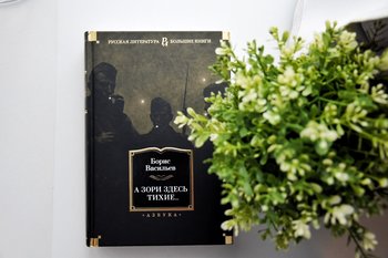 История любви на фоне войны