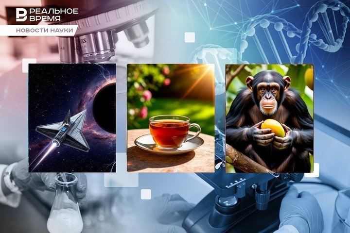 ИИ доводит до психлечебницы, астрофизик планирует полет к черной дыре, шимпанзе ходят на двух ногах