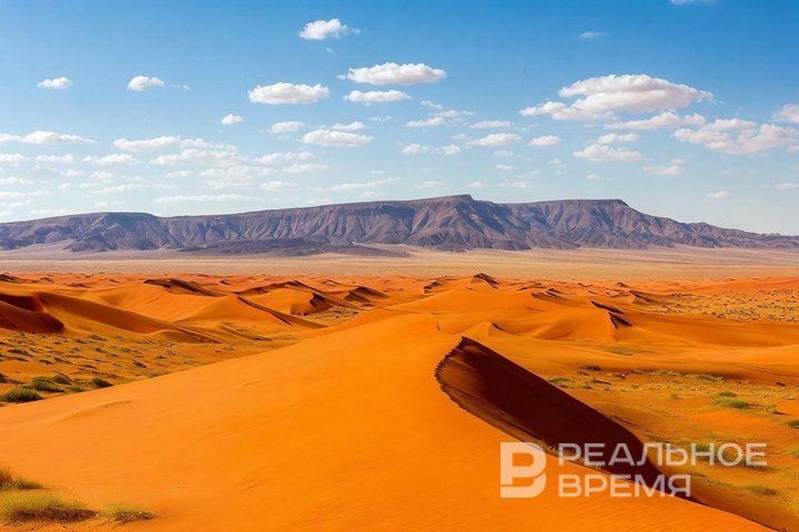 Посольство России в Нигере возобновит работу до конца года