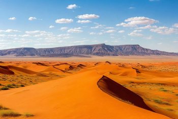 Посольство России в Нигере возобновит работу до конца года