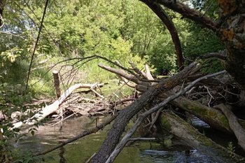 Татарстан получит 135 млн рублей финансирования на расчистку рек