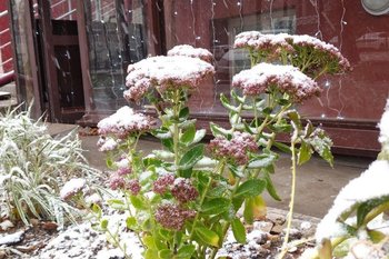 РСЧС предупредила о заморозках в Татарстане ночью 12 мая