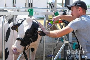 В Татарстане создадут агротехнологический университет на 7 тыс. студентов