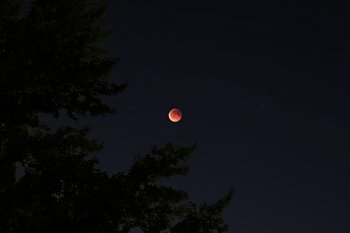 Жители Татарстана смогут увидеть «розовую Луну», ее еще называют «пасхальной»