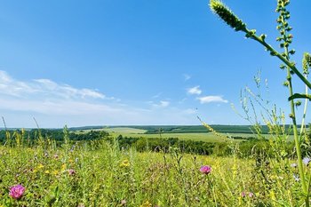 Сегодня в Татарстане ожидается до +28 градусов