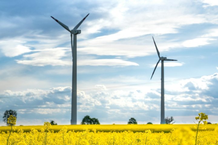 К соглашению британских издателей об устойчивом развитии присоединилось 200 компаний