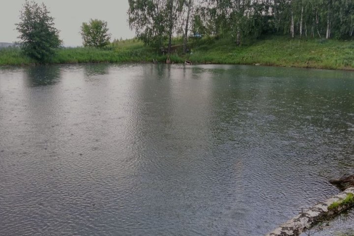 В Азнакаевском районе Татарстана в пруду утонул 47-летний мужчина