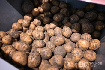 Рост импорта картофеля и лука из Китая в Россию достиг рекордных значений