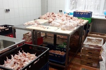 Роспотребнадзор обнаружил в Казани производство цыплят, зараженных сальмонеллой